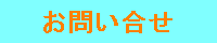 shibata.png